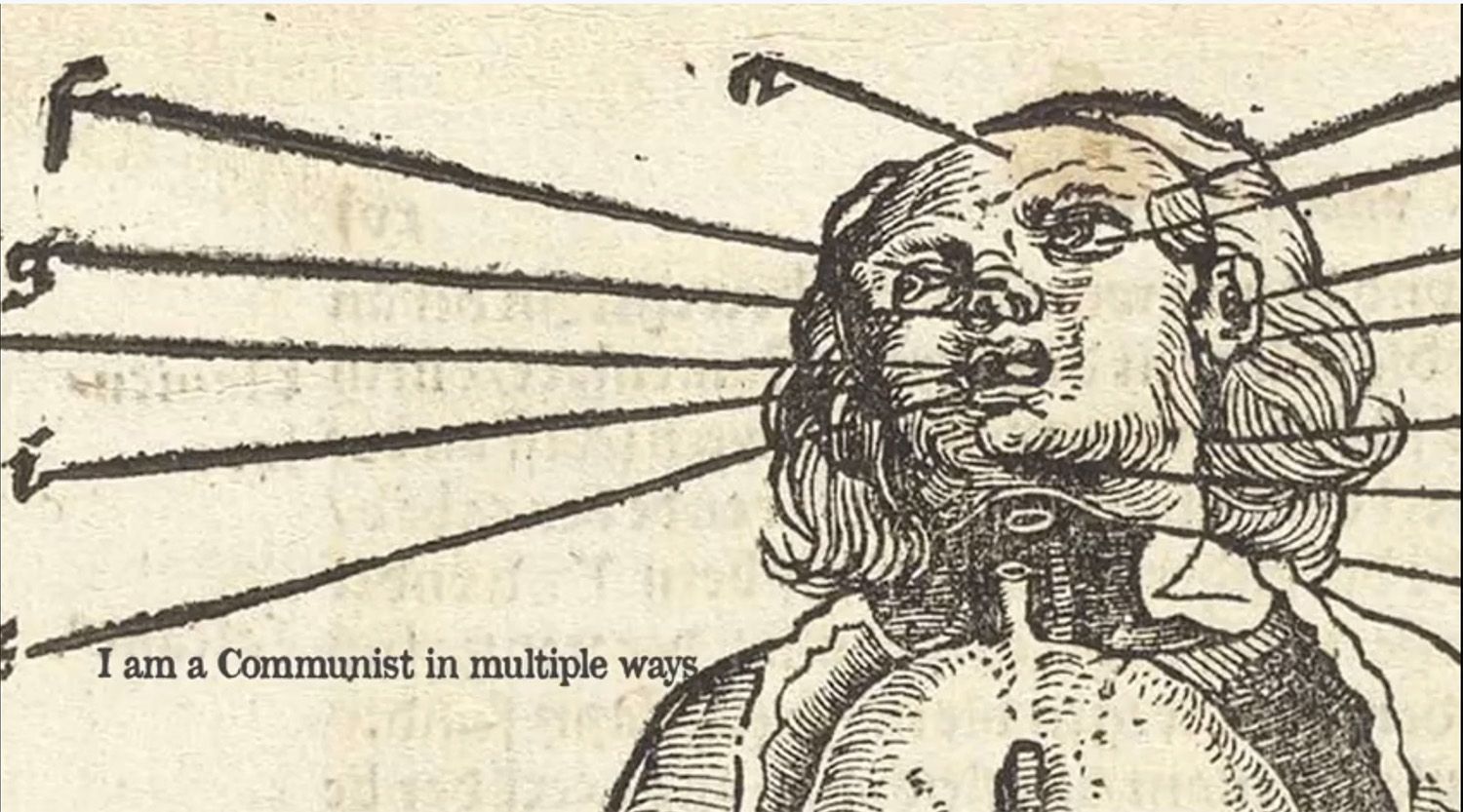 Anatomische Grafik mit Schrift